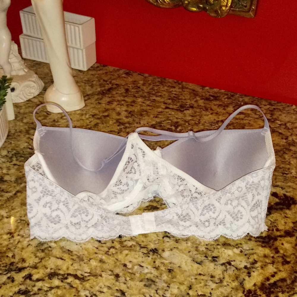 1210 Rampage Intimates Lace Mesh Bra - Picture 3 of 6